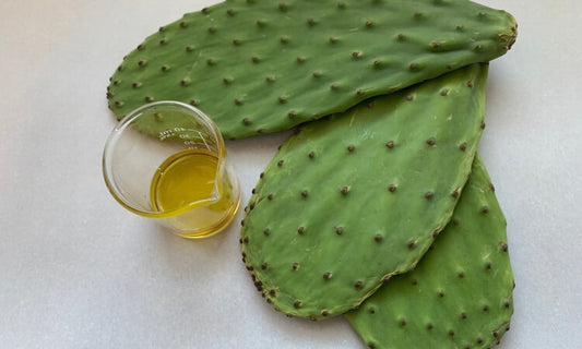 L’huile de cactus est-elle bonne pour le visage